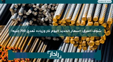 شوف الفرق: أسعار الحديد اليوم نار وزيادة تعدي 700 جنيه!